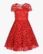 Ted Baker Sheer Floral Dress